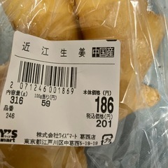 大きな生姜とフリスクの画像