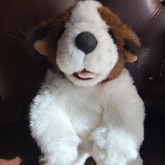 犬のぬいぐるみの画像