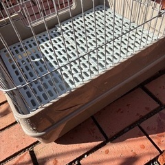 うさぎ　ケージの画像