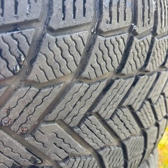 ウェッズキーラーフィールド17インチの画像