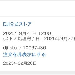 【美品】DJI RS 4 Mini コンボの画像