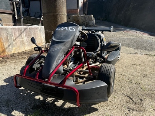 公道カート x-KART F-KART ゴーカート　普通免許　ミニカー登録