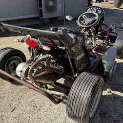 公道カート x-KART F-KART ゴーカート　普通免許　ミニカー登録の画像