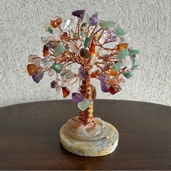 金のなる木　貴石の画像