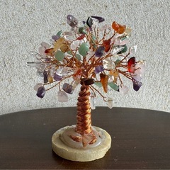 金のなる木　貴石の画像