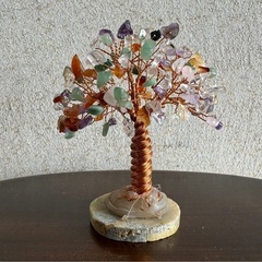 金のなる木　貴石の画像