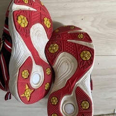 15cm 運動靴の画像