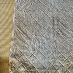 ニトリNウォーム　シキパットダブルの画像