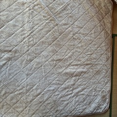 ニトリNウォーム　シキパットダブルの画像