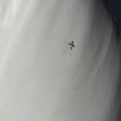 ビーズクッションの画像