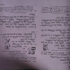 　シートレコードの画像