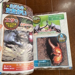 虫の本　戦うムシ大百科の画像