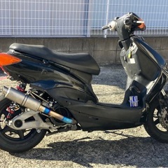 シグナス　一型の画像