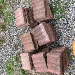 花壇カワラ
の画像