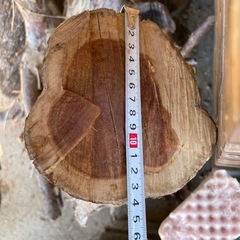 薪　原木　伐採木　丸太の画像