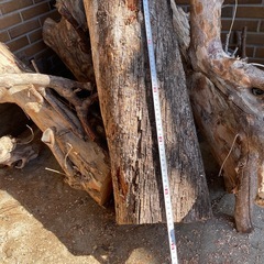 薪　原木　伐採木　丸太の画像