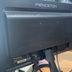 プリンストン  モニターの画像