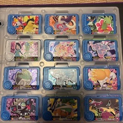 ポケモンフレンダ引退セットの画像