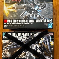 HG シナンジュスタイン　　の画像