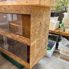 爬虫類ケージ　幅1200奥55高92の画像