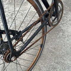 フジ　シングルスピードの画像