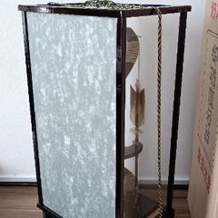 破魔弓(箱付き、オルゴール無し)の画像