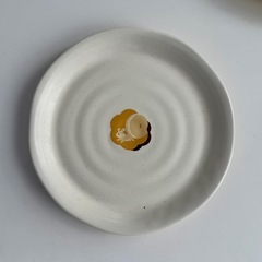 【未使用】ミスド ポンデライオン プレート2枚セットの画像