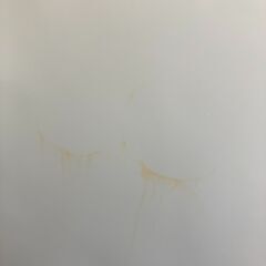 【リユ-スのサカイ広島石内店】ジモティ割！/１ドア冷凍庫/アイリス/2020年製/クリ-ニング済み/HG-7741/広島市 冷蔵庫　佐伯区 冷蔵庫　南区 冷蔵庫　西区 冷蔵庫　東区 冷蔵庫　中区 冷蔵庫　安佐南区 冷蔵庫　安佐北区 冷蔵庫　安芸区 冷蔵庫　府中町 冷蔵庫　海田町 冷蔵庫　熊野町 冷蔵庫　坂町 冷蔵庫　廿日市市 冷蔵庫			 			の画像