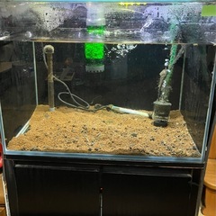 ガラス　水槽の画像