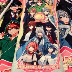 カラピチグッズ？の画像