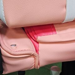 桜の刺繍が施されたピンク色の「PRORACING」の画像