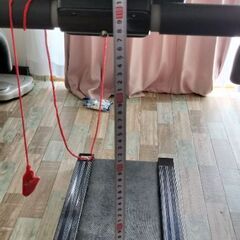 ルームランナーの画像