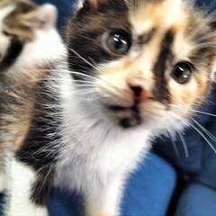 ２か月　女の子✰元気いっぱい✰