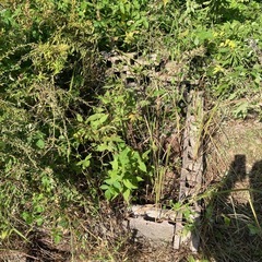 ブロックあげます！の画像