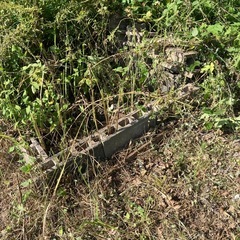 ブロックあげます！の画像