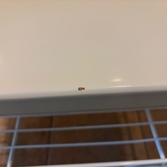 【無料】アイボリーのローテーブルの画像