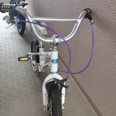 LOUIS GARNEAU -J12の画像