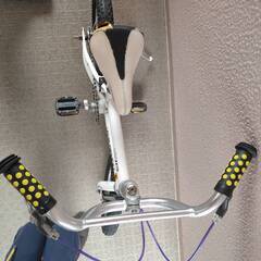 LOUIS GARNEAU -J12の画像