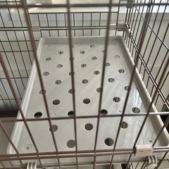 猫　キャットタワー　の画像