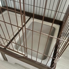 猫　キャットタワー　の画像