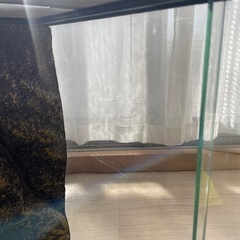 GEX  EXOTERRA 3045 PT2602 グラステラリウム ケージ 爬虫類 ①の画像