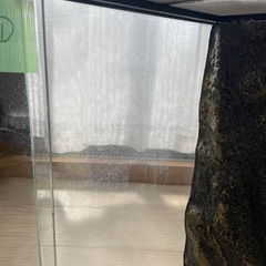 GEX  EXOTERRA 3045 PT2602 グラステラリウム ケージ 爬虫類 ①の画像