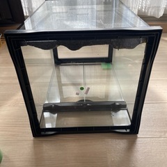 GEX  EXOTERRA 3045 PT2602 グラステラリウム ケージ 爬虫類 ①の画像