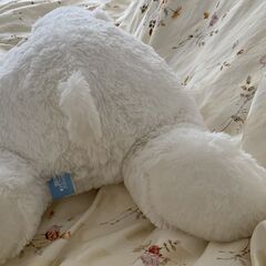 北極熊　ぬいぐるみの画像