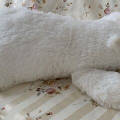 北極熊　ぬいぐるみの画像