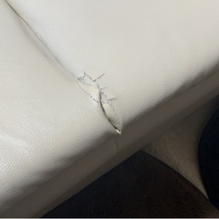 「お値下げ」ソファー白の画像