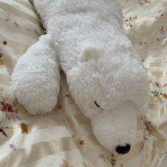 北極熊　ぬいぐるみの画像