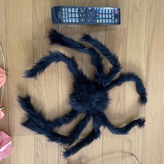 ハロウィン　飾り　蜘蛛　かぼちゃの画像