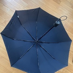 ユニクロの雨紫外線兼用傘の画像