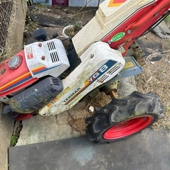 ヤンマーの画像